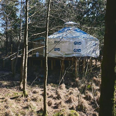 Hotel Elf Yurt - Yurtopia Aberystwyth Exterior foto