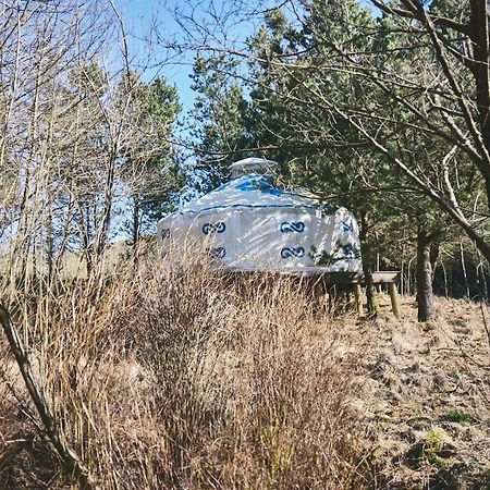 Hotel Elf Yurt - Yurtopia Aberystwyth Exterior foto