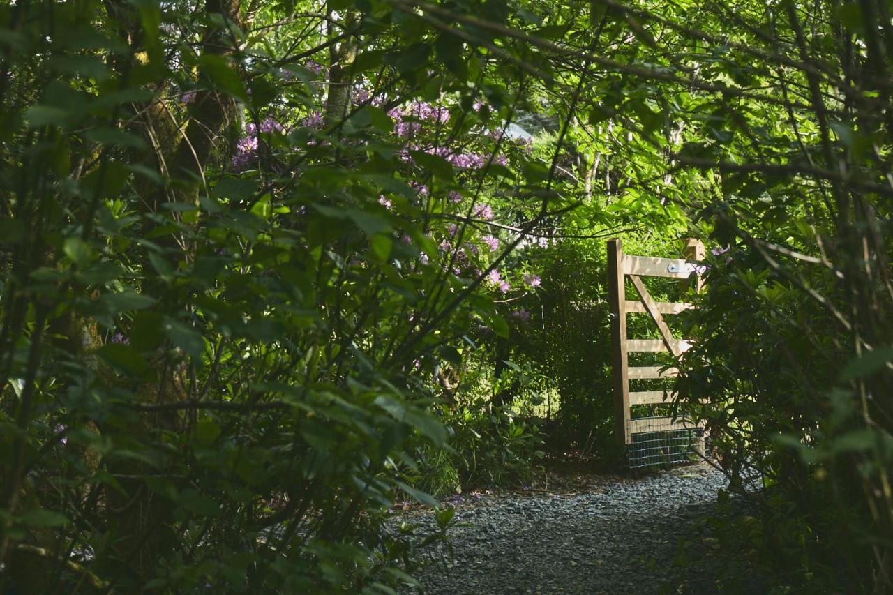 Hotel Elf Yurt - Yurtopia Aberystwyth Exterior foto