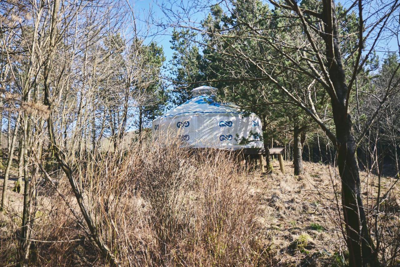 Hotel Elf Yurt - Yurtopia Aberystwyth Exterior foto